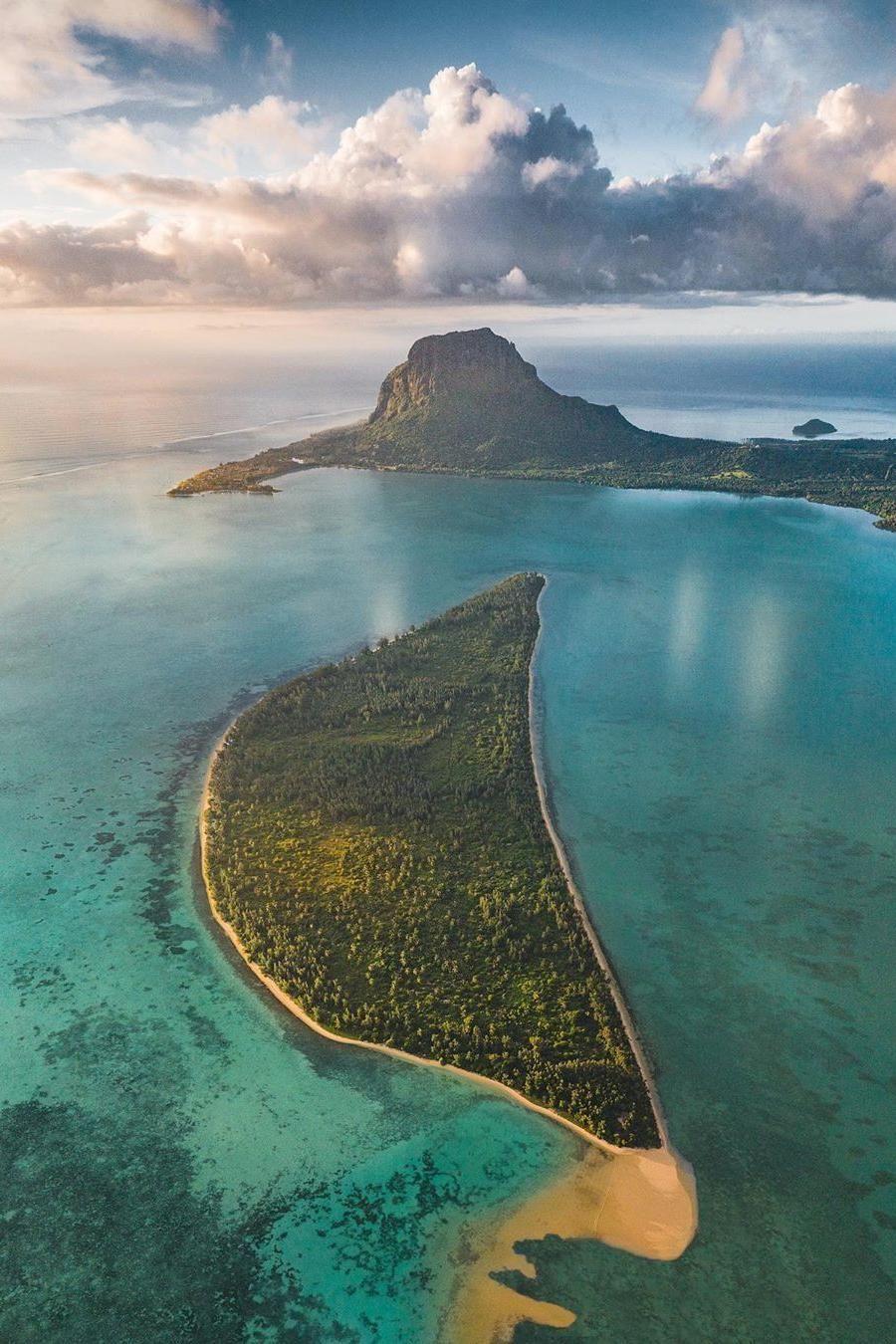 Speedboat: Dolphins, Crystal Rock & Île aux Bénitiers