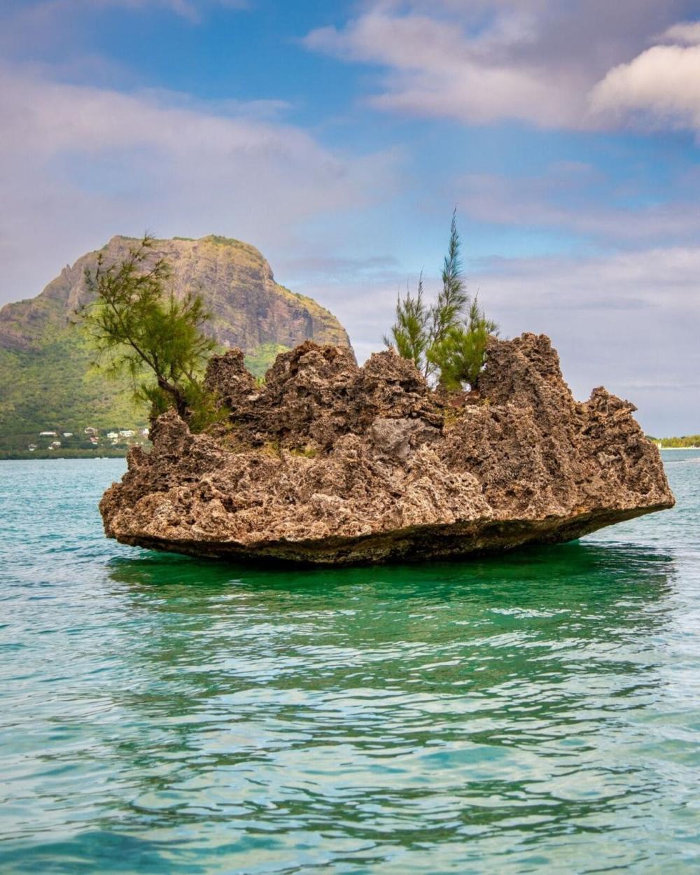 Speedboat: Dolphins, Crystal Rock & Île aux Bénitiers