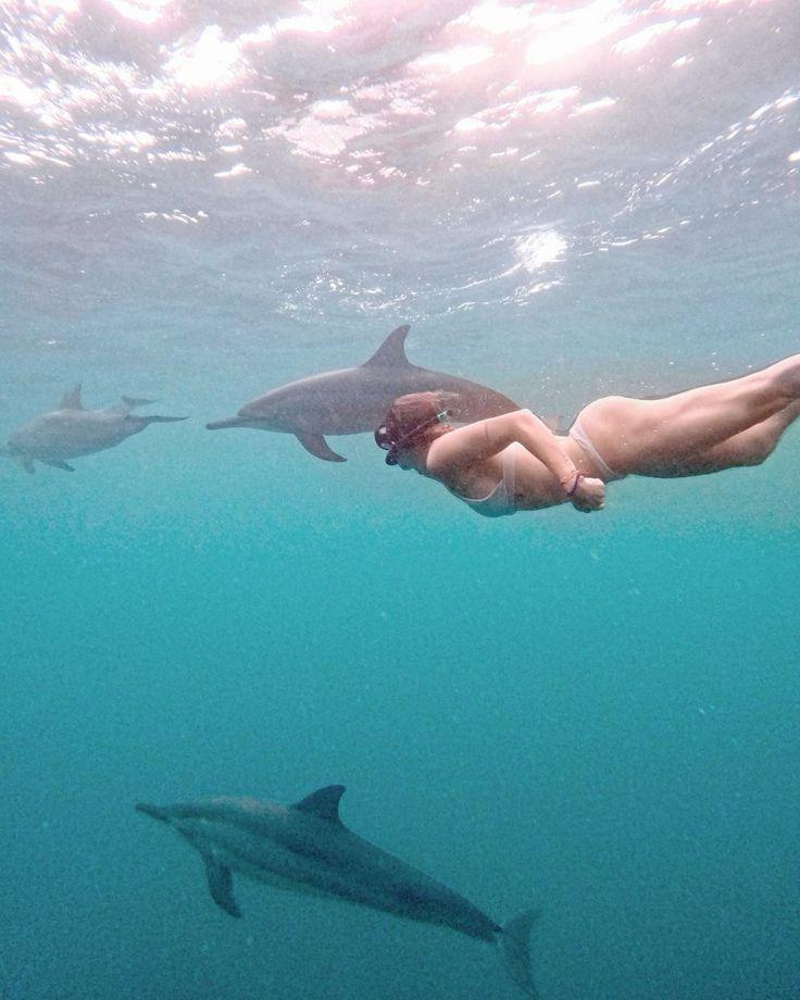 Speedboat: Swim with Dolphins Experience