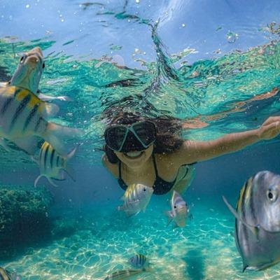 Speedboat: 3 Northern Islands Adventure – Coin de Mire, Île Plate & Île aux Gabriel