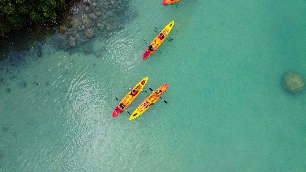 Kayak: Île d’Ambre & Mangroves