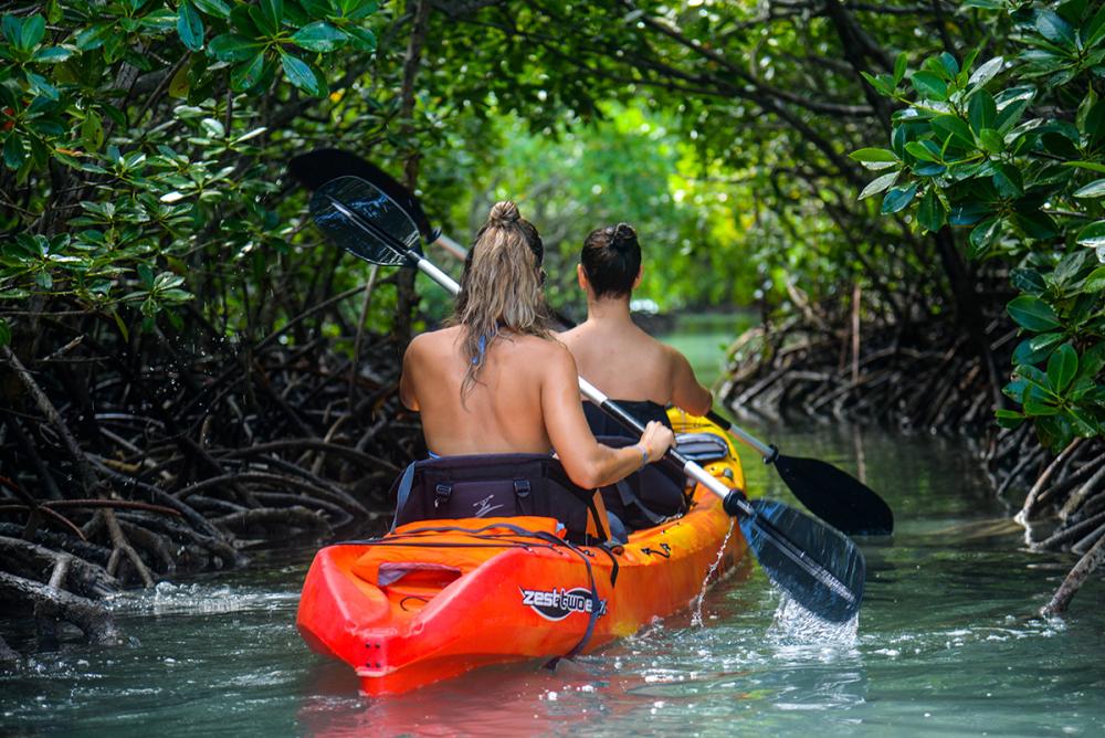 Kayak: Île d’Ambre & Mangroves