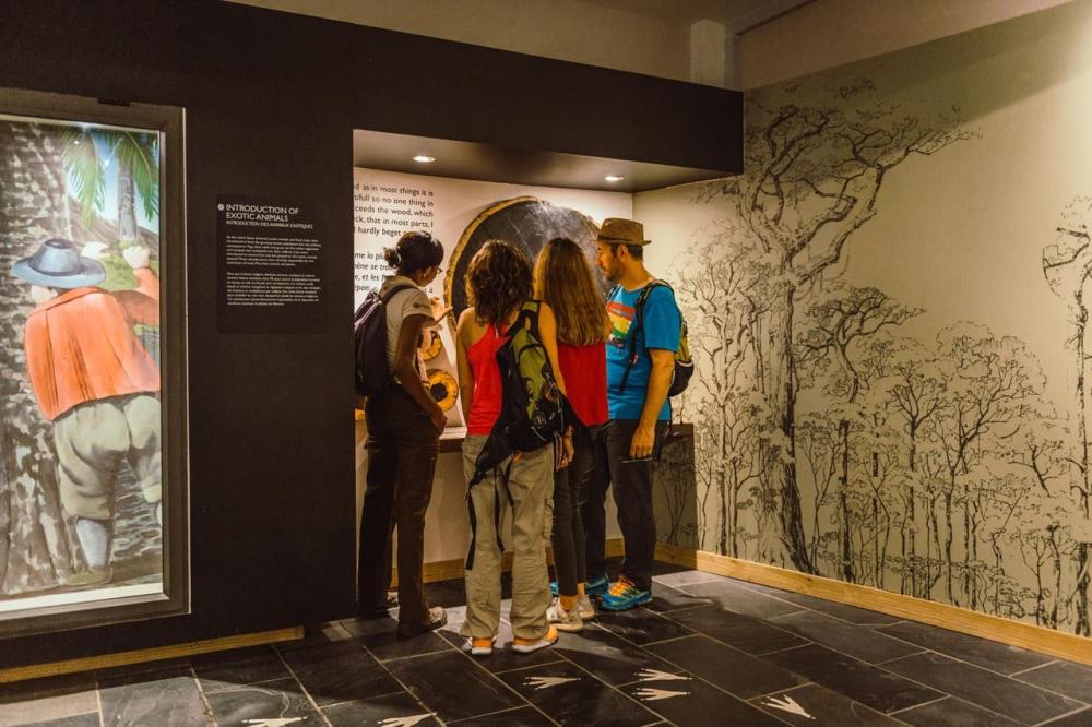 Mauritius: Ebony Forest & Le Morne Beach Tour