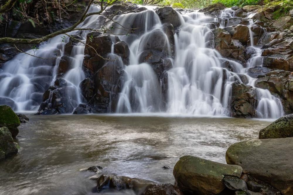 Discover South Mauritius: Chamarel, Seven Coloured Earth & Vallée