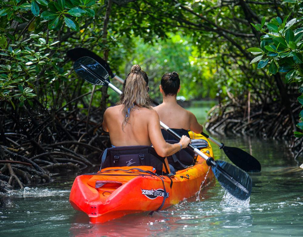 Kayak: Île d’Ambre & Mangroves