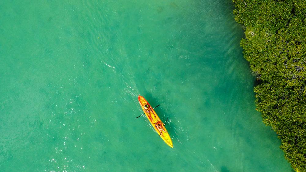 Kayak: Île d’Ambre & Mangroves