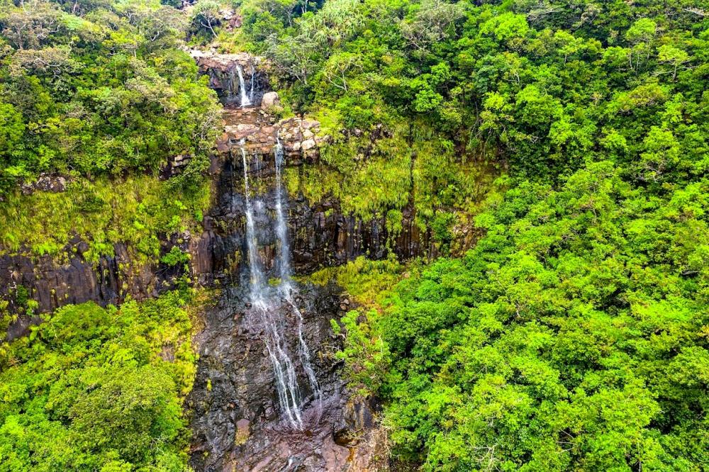 Mauritius Sacred Lake, Waterfalls & Tea Plantation Full-Day Tour