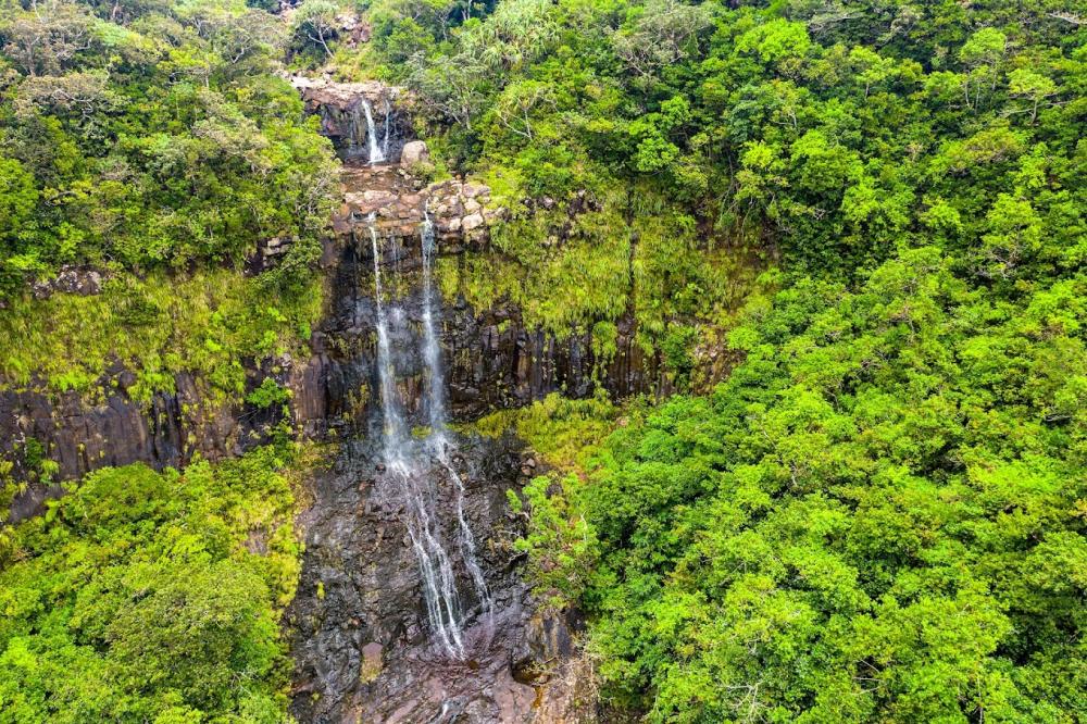 Mauritius: South Nature Tour with Scenic Viewpoints