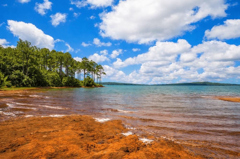 Mauritius: South Nature Tour with Scenic Viewpoints