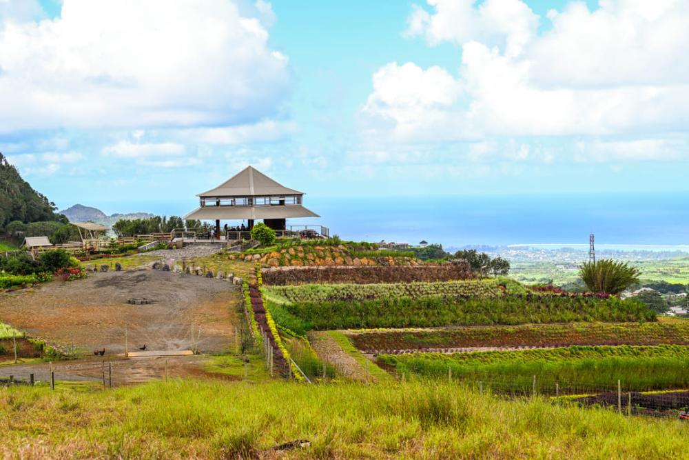 Mauritius South Highlights Tour: Waterfalls & Scenic Viewpoints