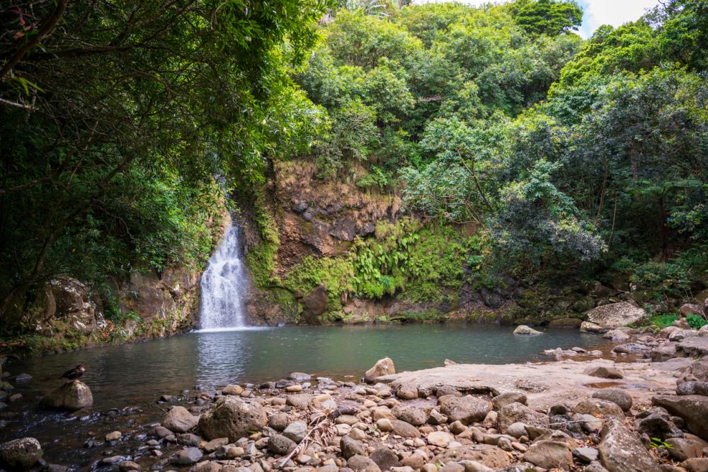 Mauritius South Highlights Tour: Waterfalls & Scenic Viewpoints