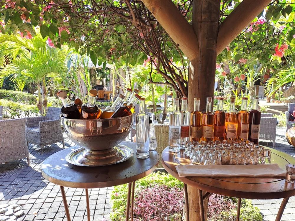 Chamarel Seven Coloured Earth and Rum Tour Mauritius