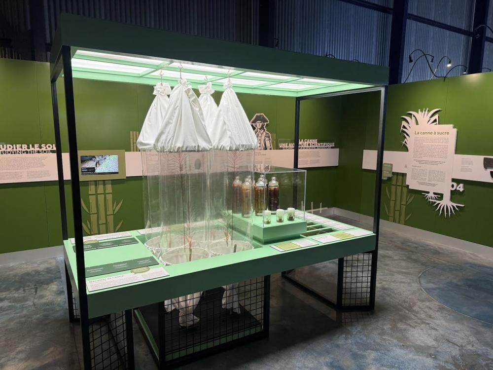 Tour culturel des musées et du château du nord de l’île Maurice