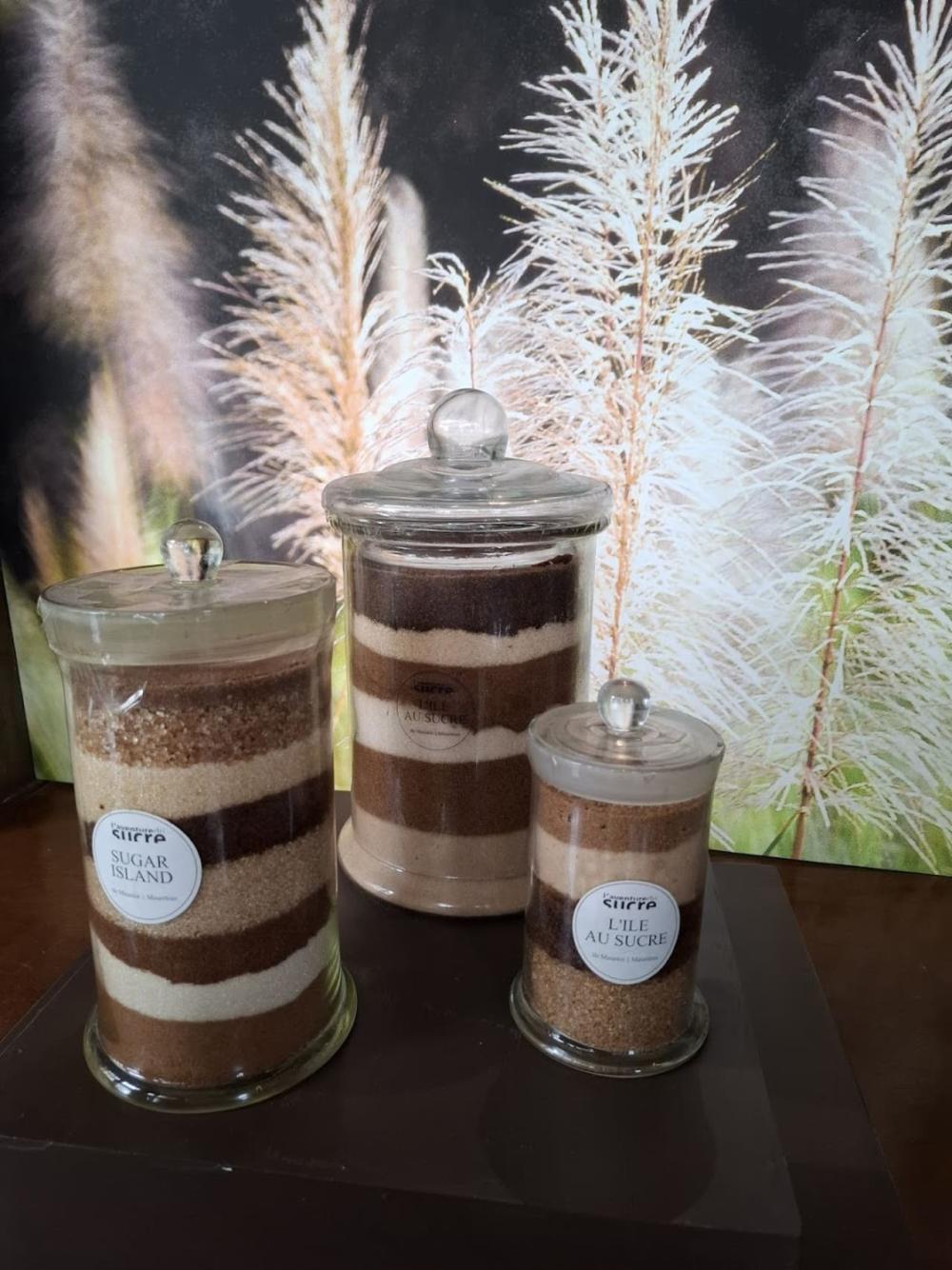 Tour culturel des musées et du château du nord de l’île Maurice