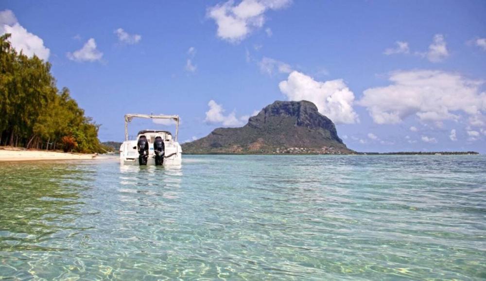 Catamaran: Crystal Rock, Dolphins & Île aux Bénitiers