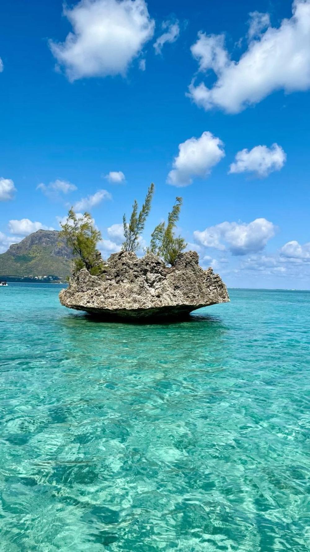 Catamaran: Crystal Rock, Dolphins & Île aux Bénitiers