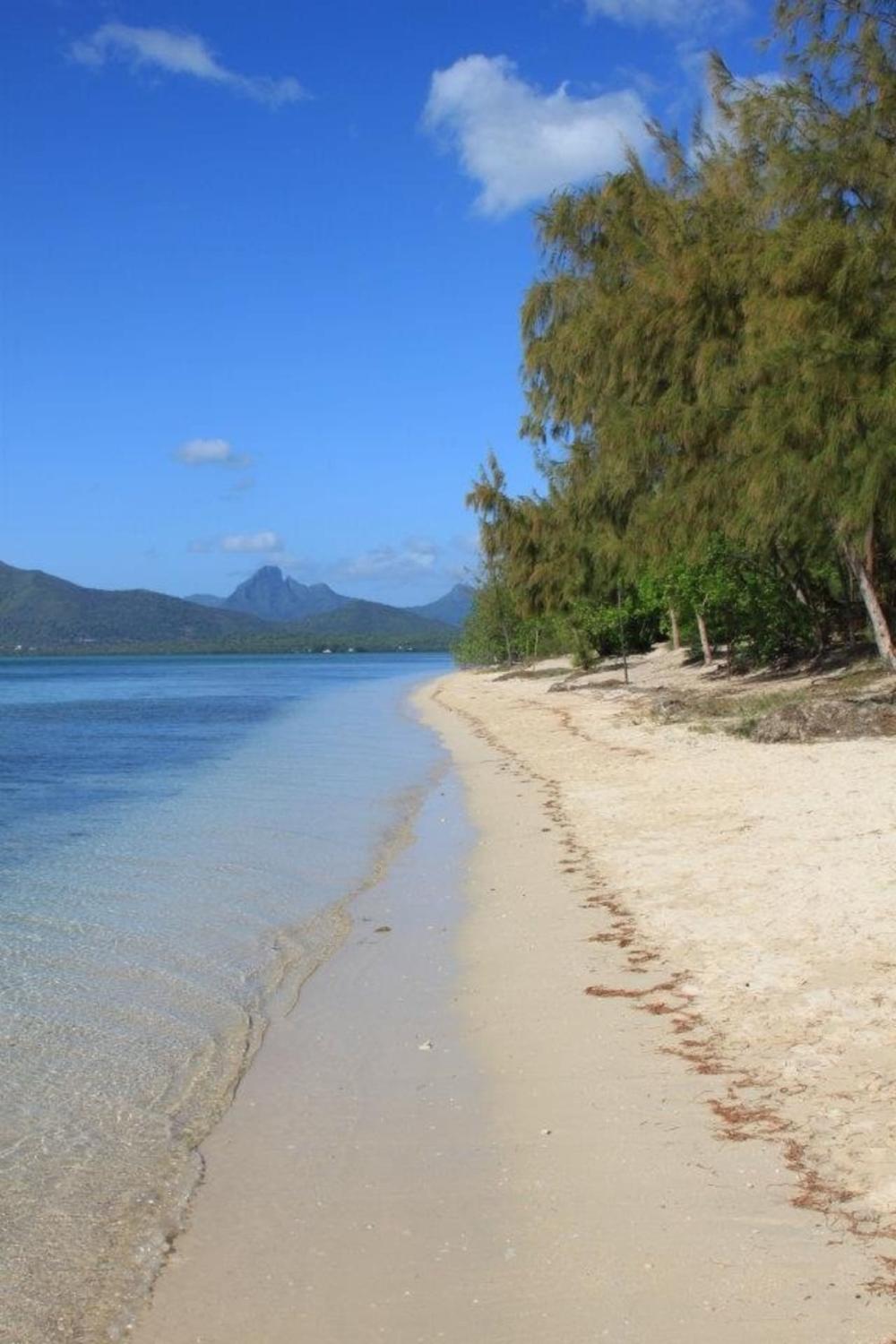Speedboat: Dolphins, Crystal Rock & Île aux Bénitiers