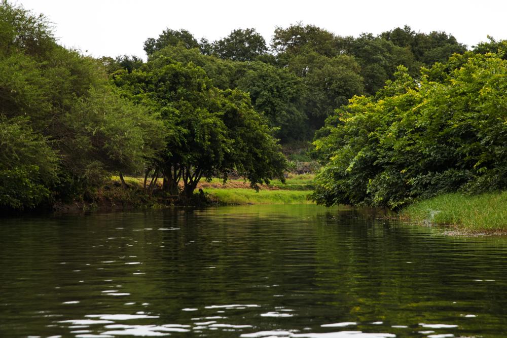 Kayak: Tamarin River Adventure
