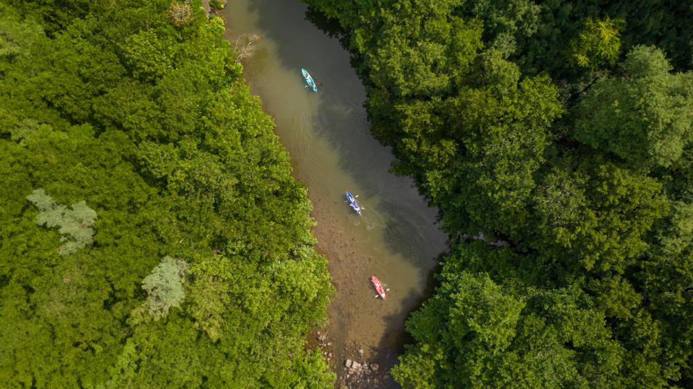 Kayak: Tamarin River Adventure