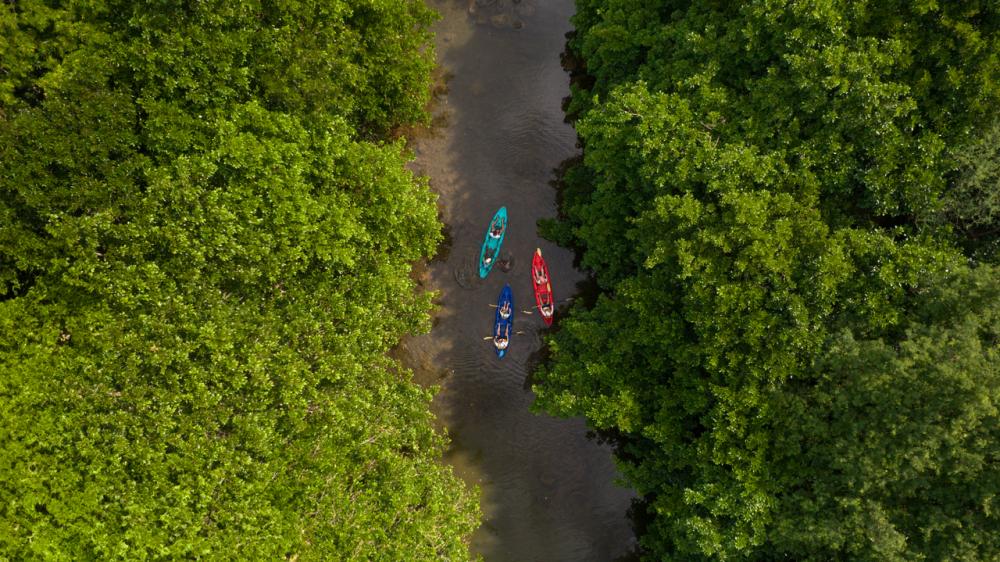 Kayak: Tamarin River Adventure