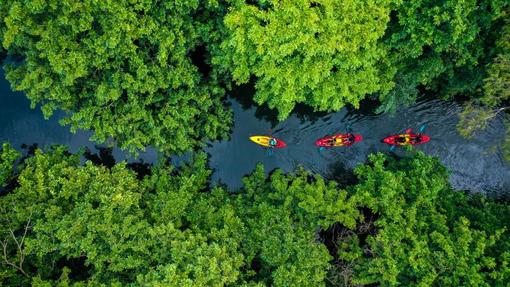 Kayak: Tamarin River Adventure