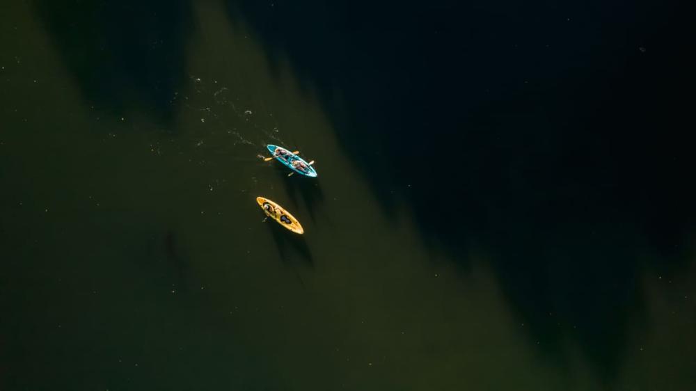 Kayak : Aventure au lever du soleil sur la rivière Tamarin