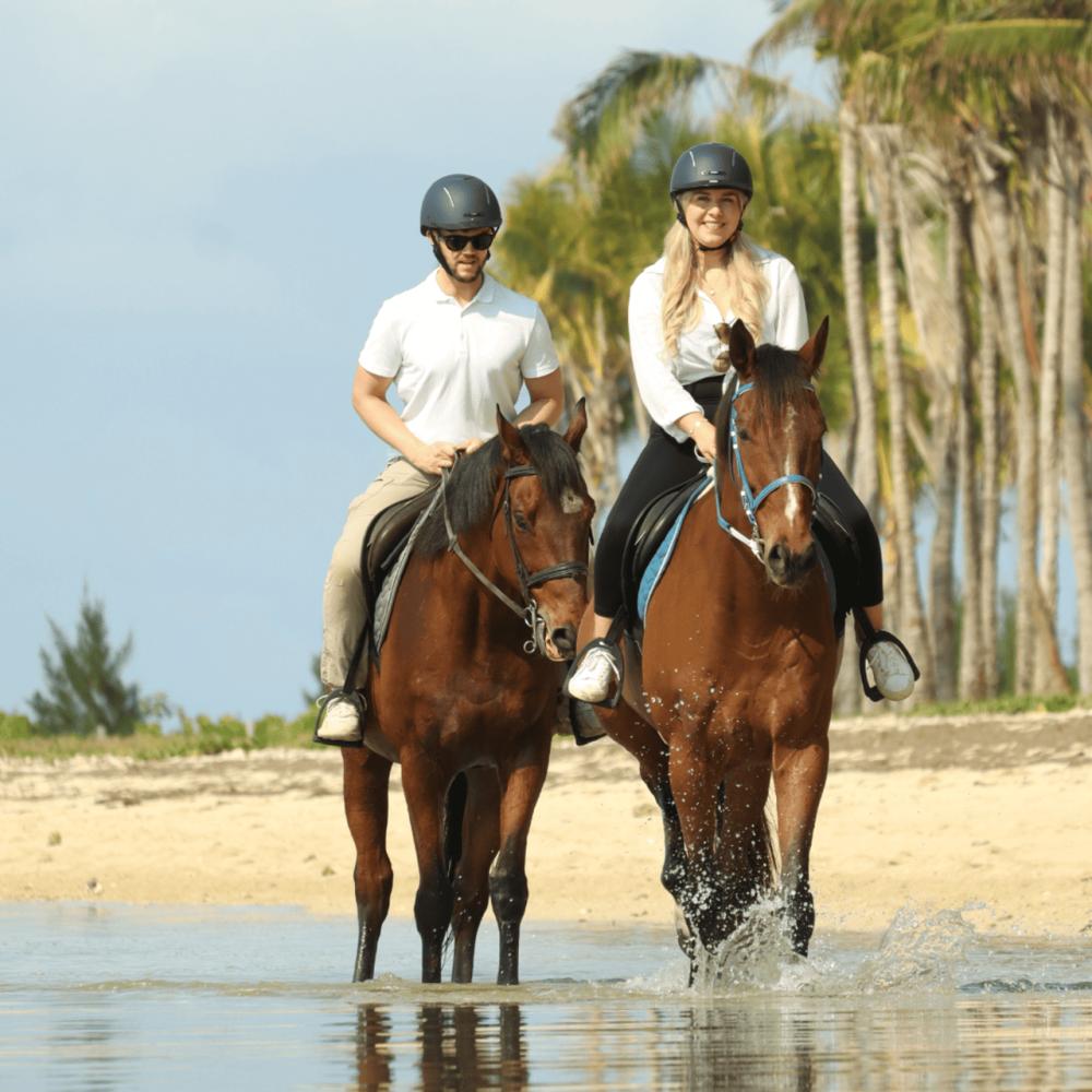 Le Morne Mauritius:  Beach Horse Riding Experience
