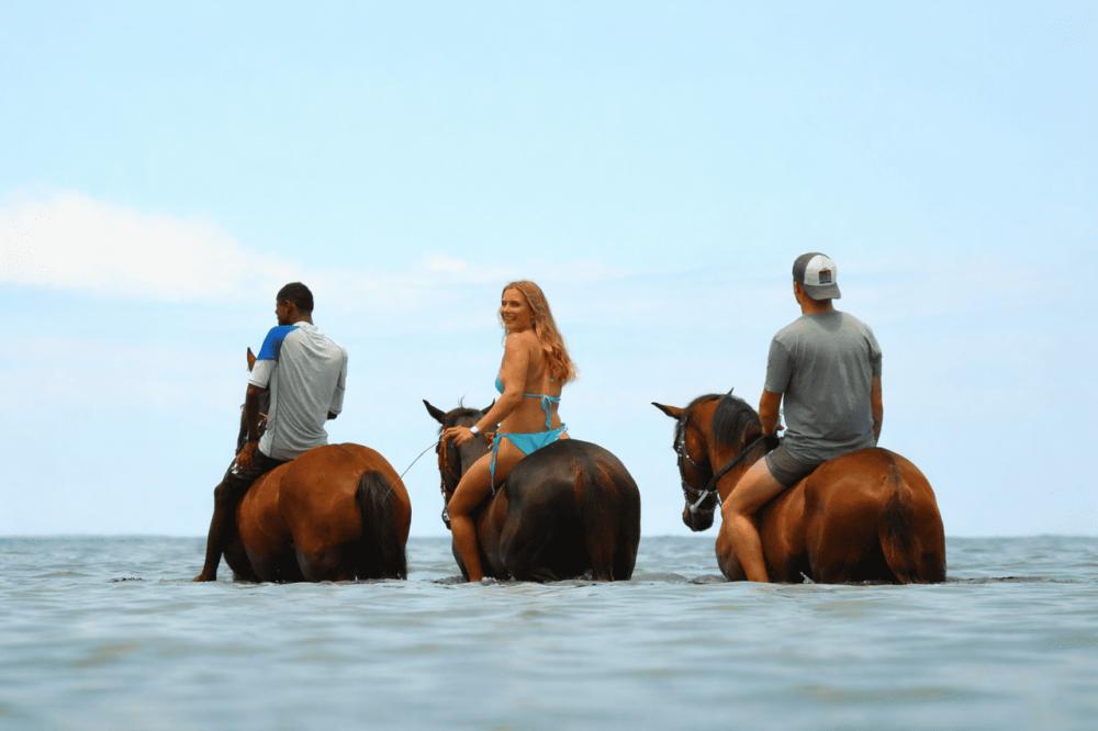 Le Morne Mauritius: Swim with Horses Experience
