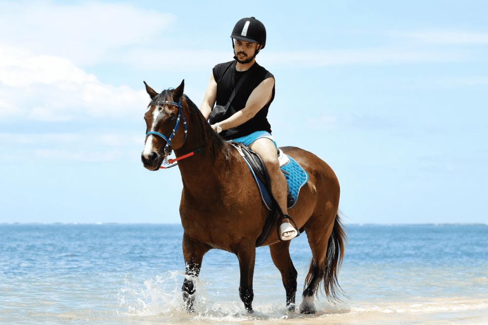 Le Morne Mauritius: Swim with Horses Experience