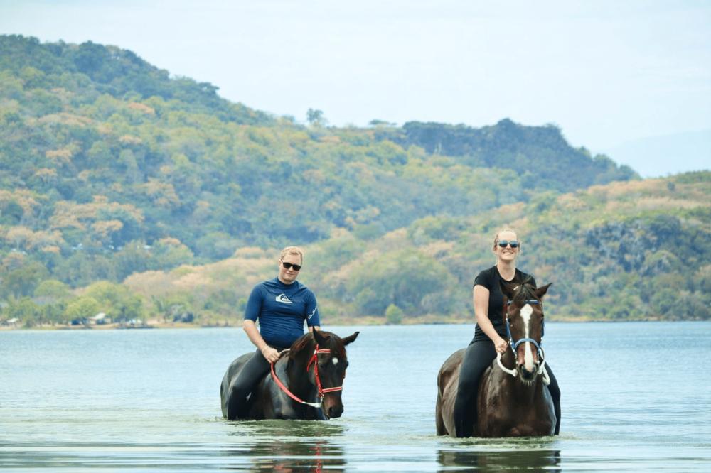 Le Morne Mauritius: Swim with Horses Experience