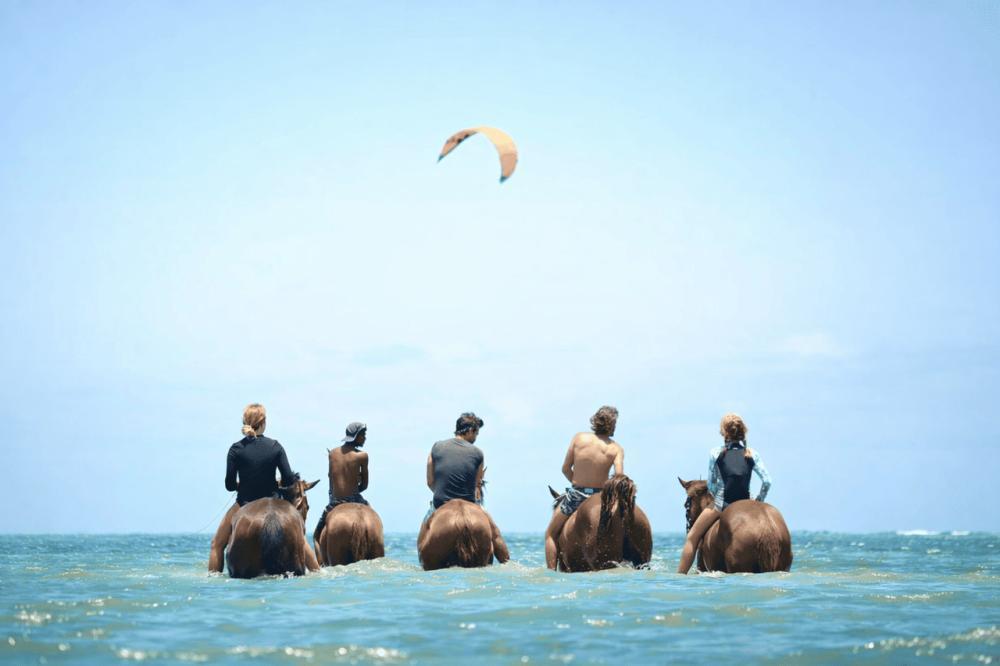 Le Morne Mauritius: Swim with Horses Experience