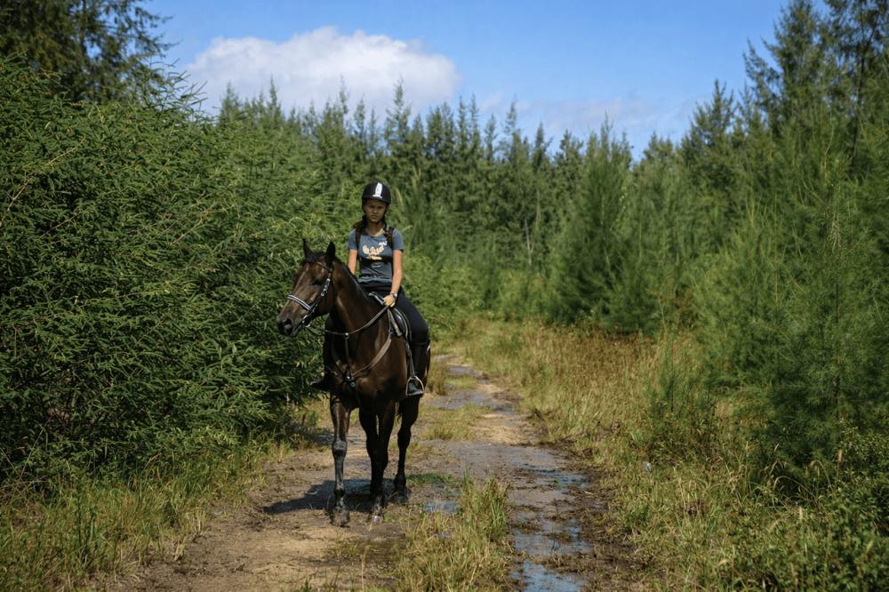 Riambel: Nature Horse Riding Experience
