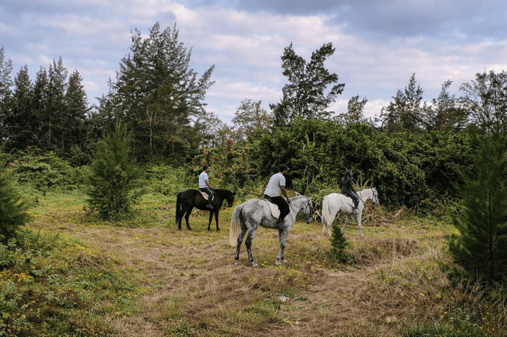 Riambel: Nature Horse Riding Experience