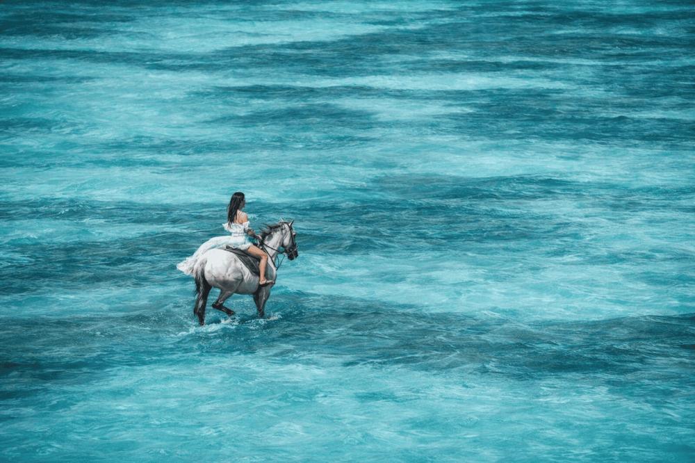 Riambel: Swimming With Horses Beach Experience