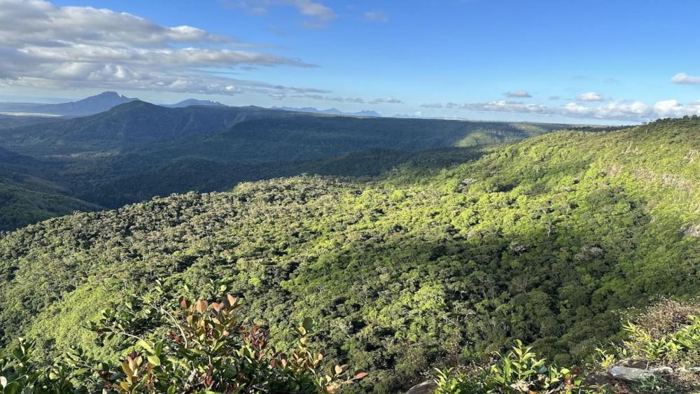 Mauritius: Grand Bassin, Alexandra Falls & Local Craft Factory
