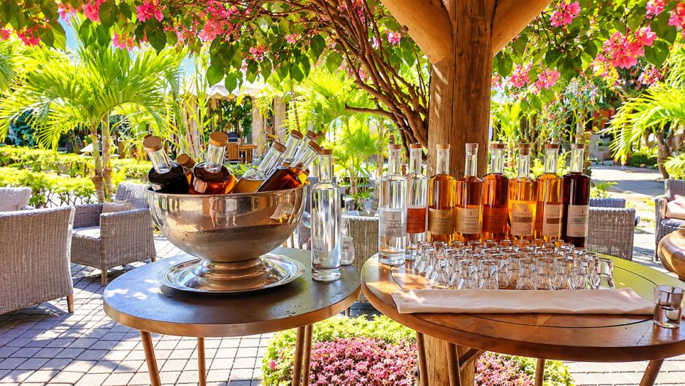 Chamarel Seven Coloured Earth & Rum Distillery – Private Full-Day Tour