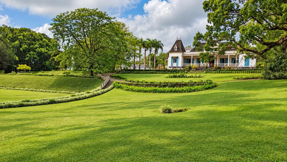 Mauritius Tea Route Tour – Aubineaux, Bois Chéri & Saint Aubin | Private Full-Day Tour