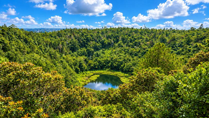 South Mauritius Nature Tour & Scenic Viewpoints – Private Full-Day Tour