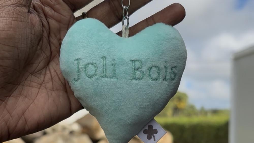 Grand Bassin, Alexandra Falls & Joli Bois Craft Factory with Lunch – Private Mauritius Tour