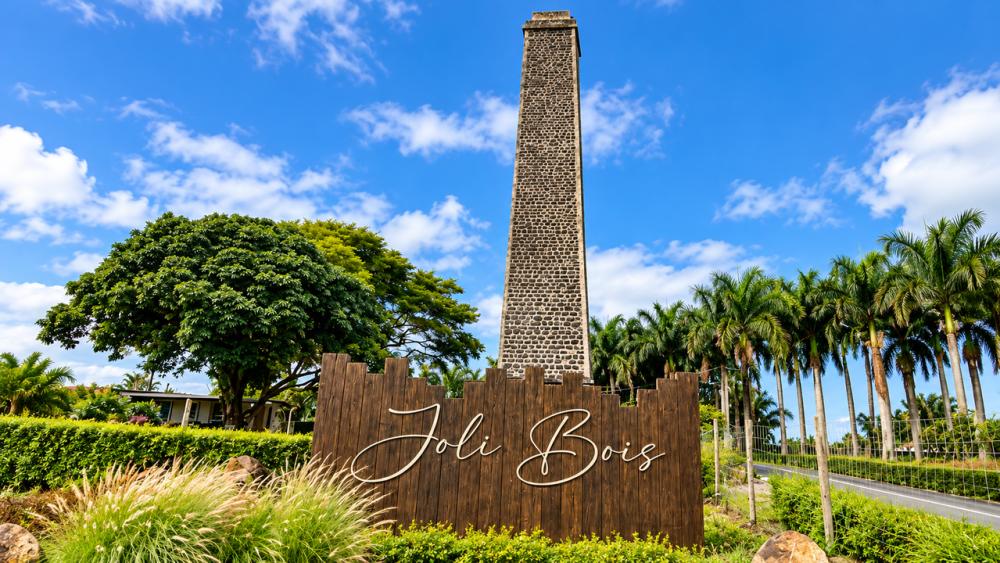 Grand Bassin, Alexandra Falls & Joli Bois Craft Factory with Lunch – Private Mauritius Tour