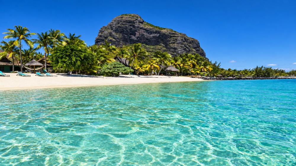 Ebony Forest & Le Morne Beach – Private Tour in Mauritius