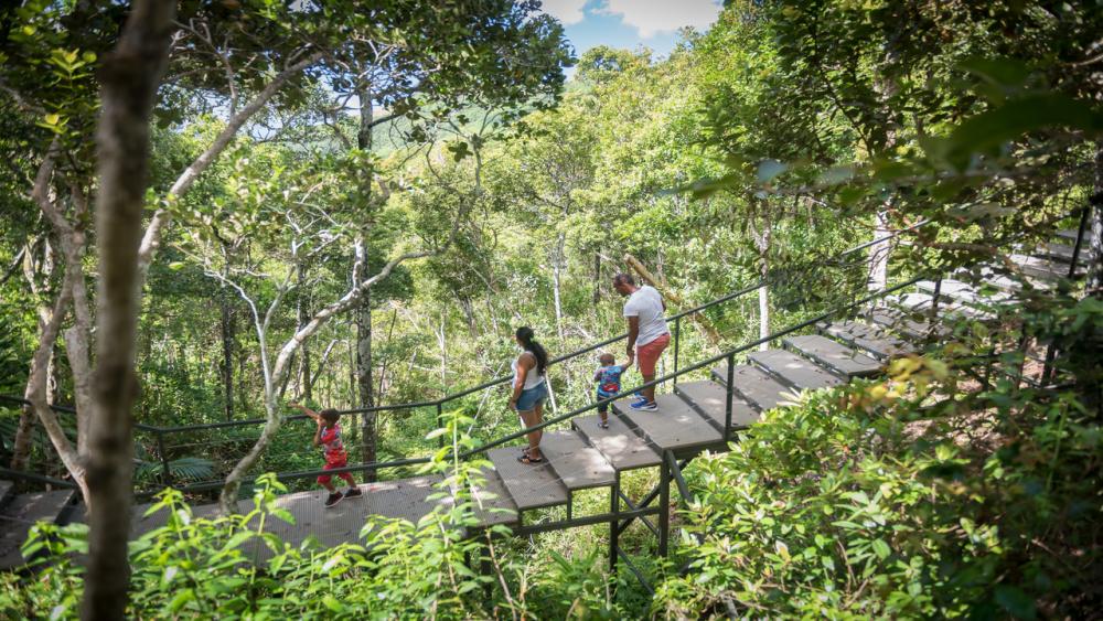 Ebony Forest & Le Morne Beach – Private Tour in Mauritius
