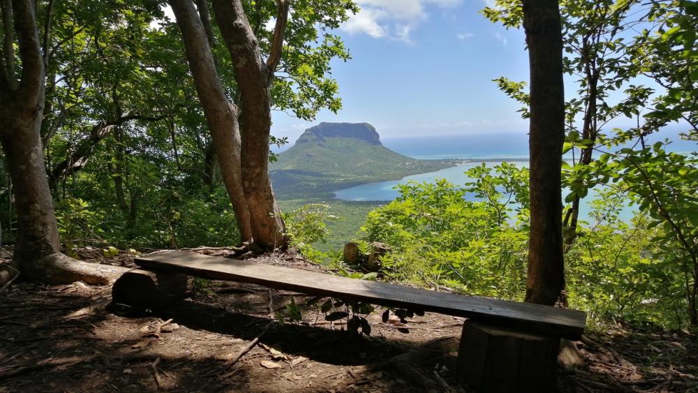 Ebony Forest & Le Morne Beach – Private Tour in Mauritius