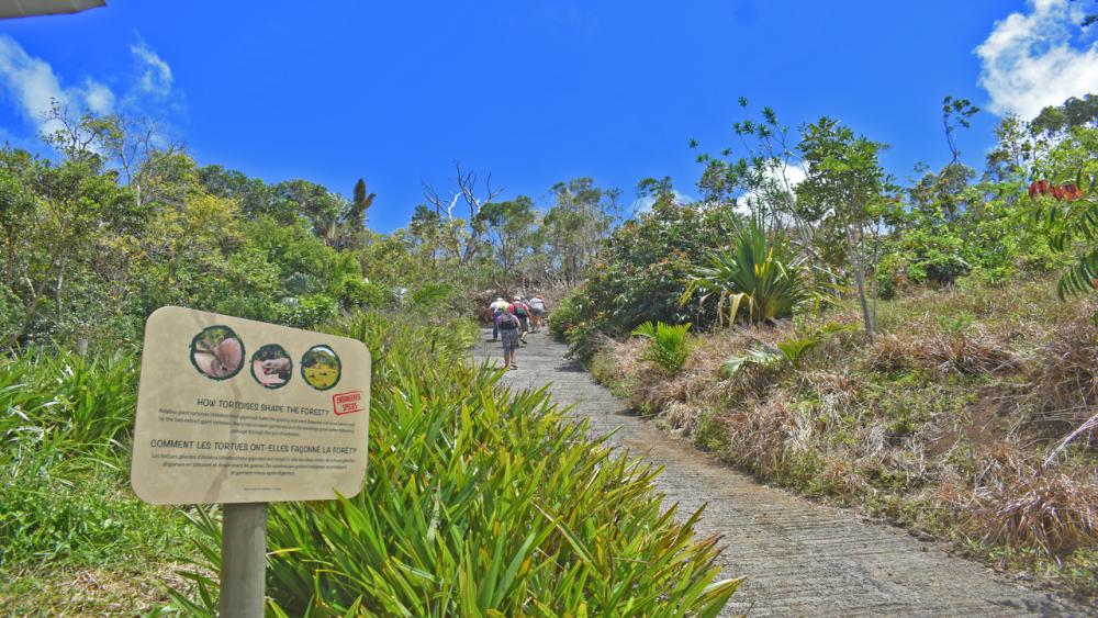 Ebony Forest & Le Morne Beach – Private Tour in Mauritius