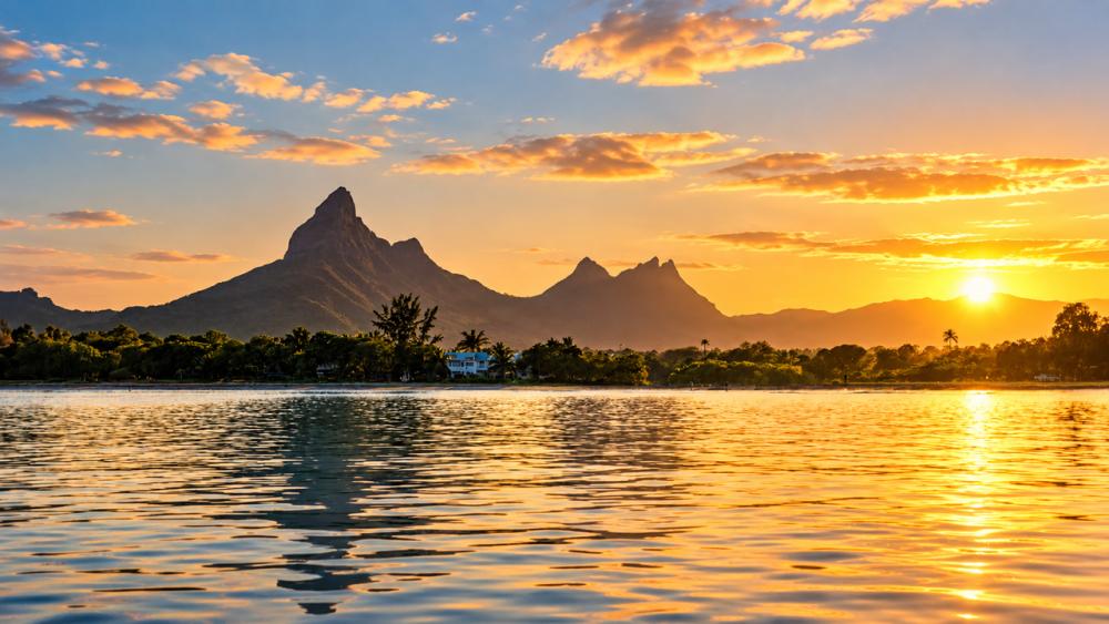 Guided Morning Kayaking Adventure