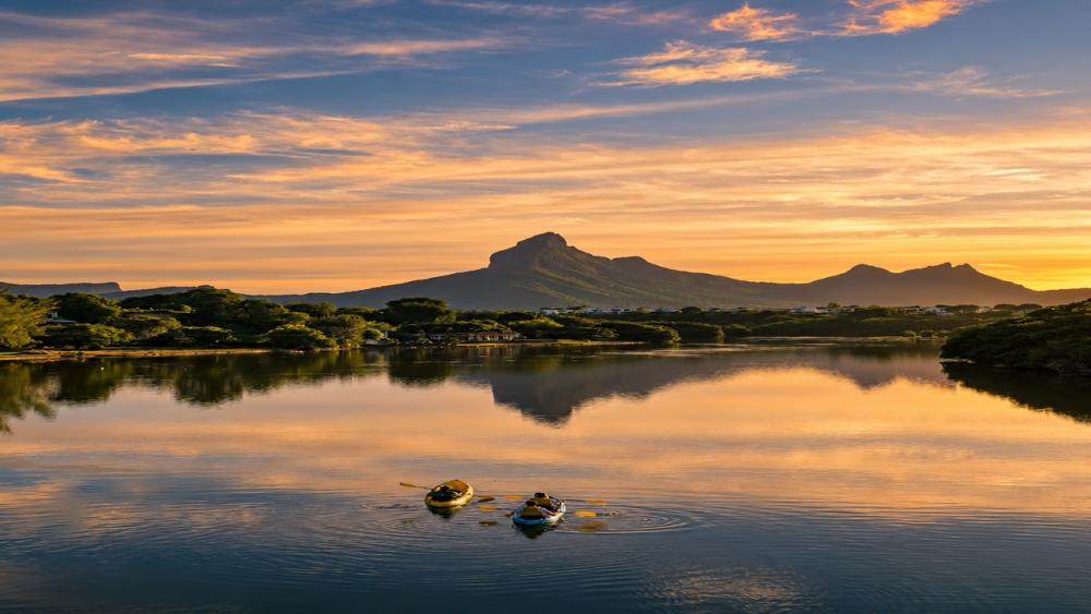 Guided Morning Kayaking Adventure