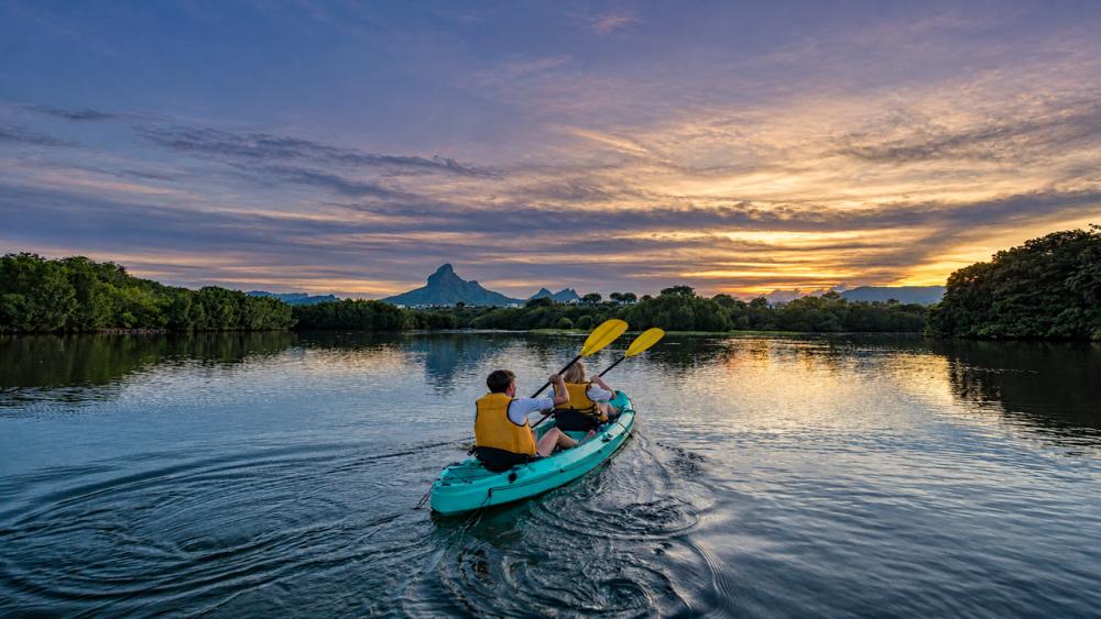 Guided Morning Kayaking Adventure