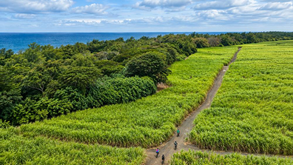 Wild South – E-Bike Adventure | Guided Off-Road Cycling Tour