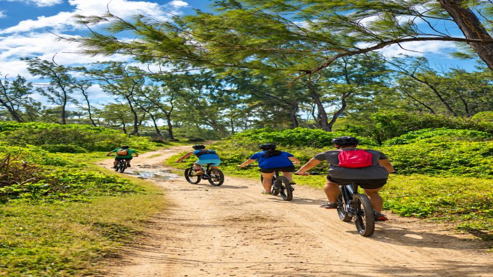 Wild South – E-Bike Adventure | Guided Off-Road Cycling Tour