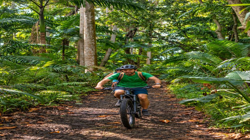 Wild South – E-Bike Adventure | Guided Off-Road Cycling Tour